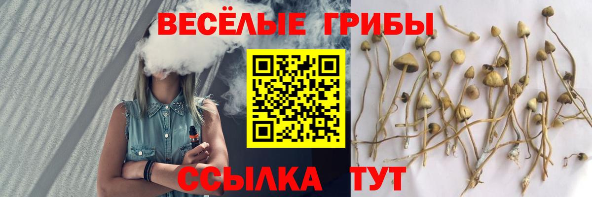 Псилоцибиновые грибы GOLDEN TEACHER  Вход с VPN  Баксан  Галлюциногенные грибы Cubensis 